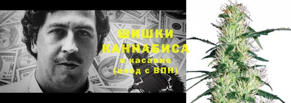 шишки Беломорск