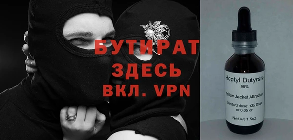 шишки Беломорск
