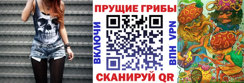 Галлюциногенные грибы Psilocybe  даркнет формула  Болотное  закладка 